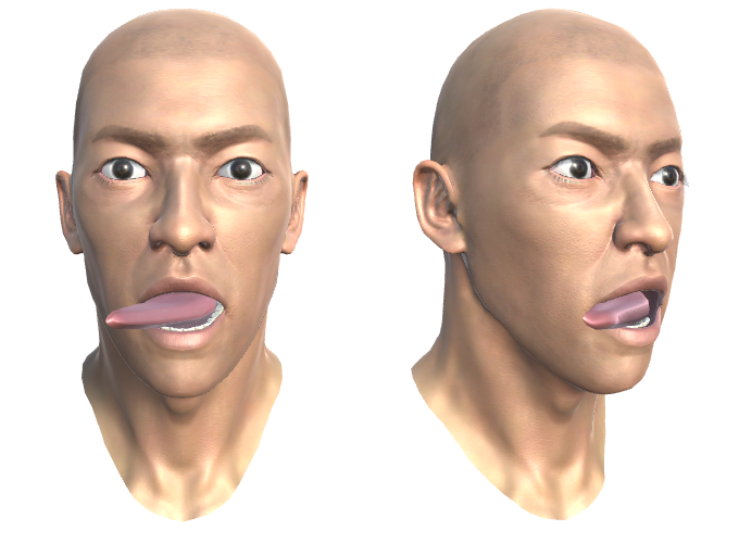 ../_images/28.TONGUE_RIGHT.png