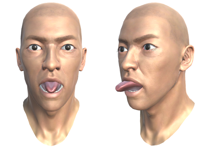 ../_images/31.TONGUE_ROLL.png