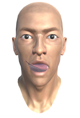 ../_images/33.1.TONGUE_UPRIGHT_MORPH.png