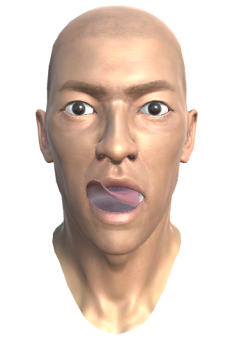 ../_images/33.2.TONGUE_UPRIGHT_MORPH1.png