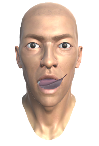 ../_images/34.1.TONGUE_UPLEFT_MORPH.png
