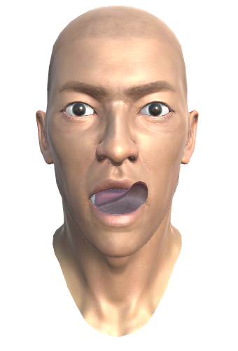 ../_images/34.2.TONGUE_UPLEFT_MORPH.png