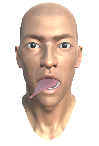 ../_images/35.1.TONGUE_DOWNRIGHT_MORPH1.png