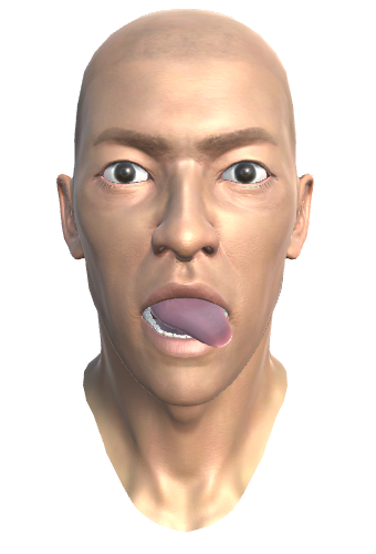 ../_images/36.2.TONGUE_DOWNLEFT_MORPH1.png